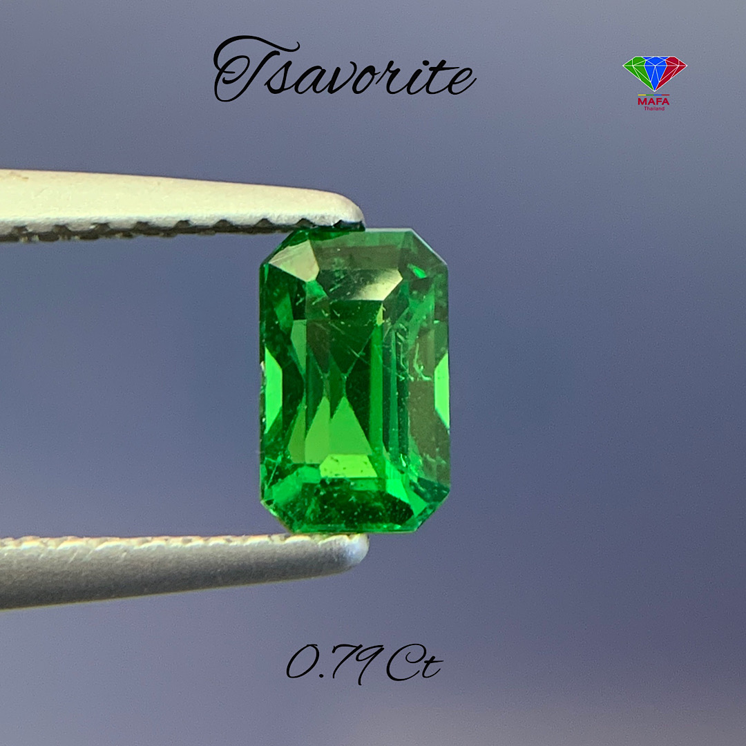 Natural Green Tsavorite Garnet TS030